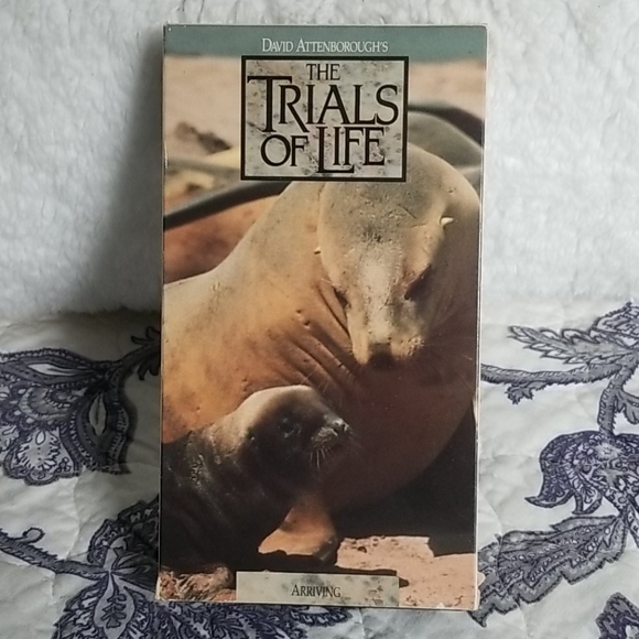 Vintage 1991 David Attenborough's "The Trials of Life" Time Life 12 VHS Box Set - Picture 2 of 15
